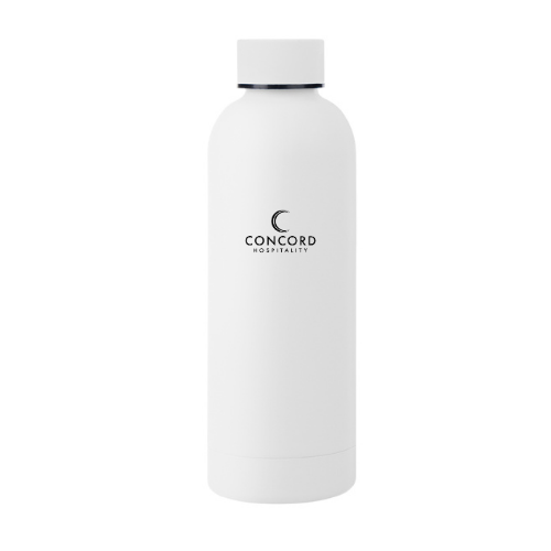 17oz Blair Stainless Steele Bottle - color options